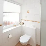Duhner Seeduene, 1 *